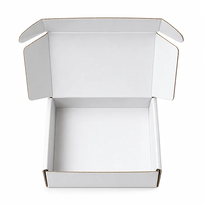 Blank Mailer Box